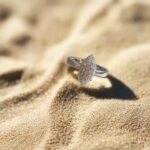 Almond Cut Ring